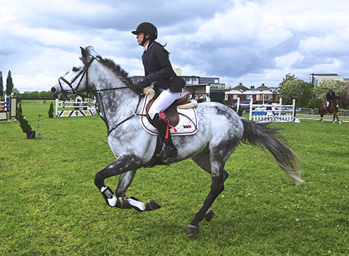 equestrian-jumping